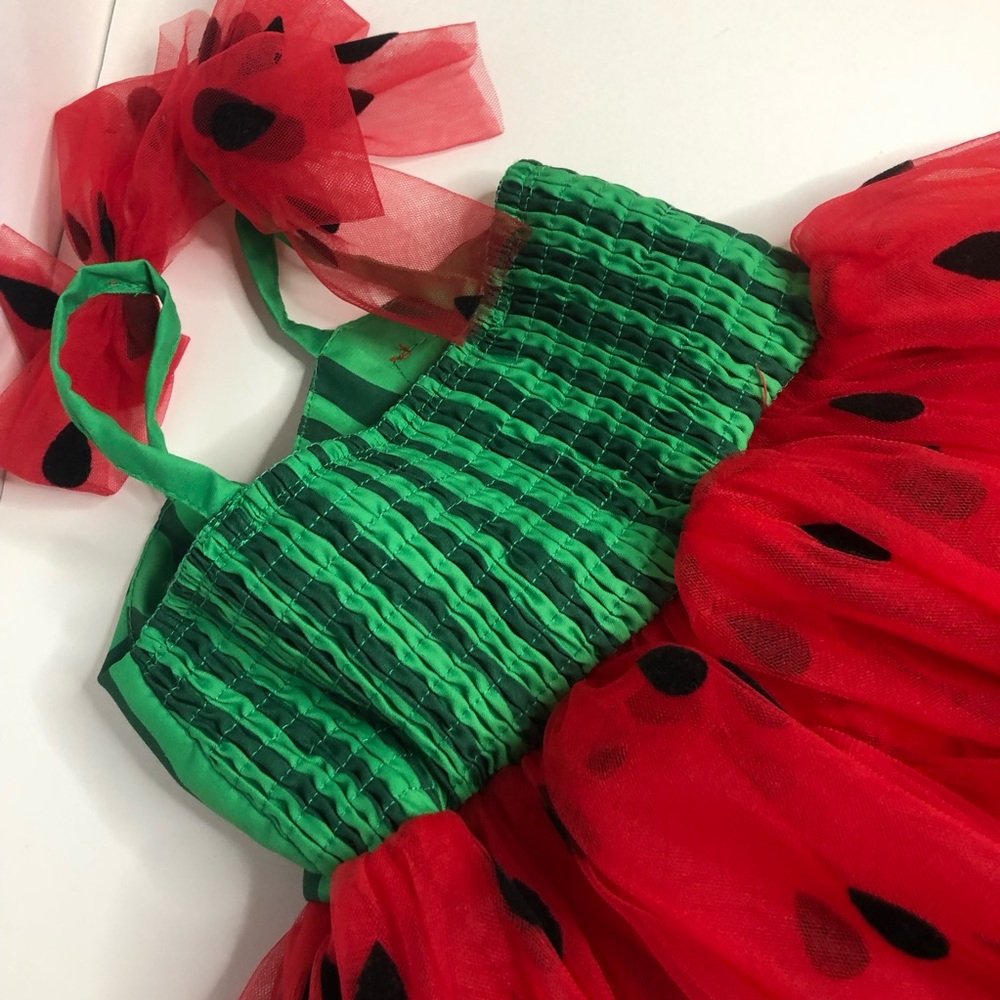 Baby Watermelon Dress - Picture 6 of 11